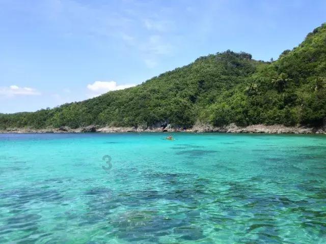 越过篱笆