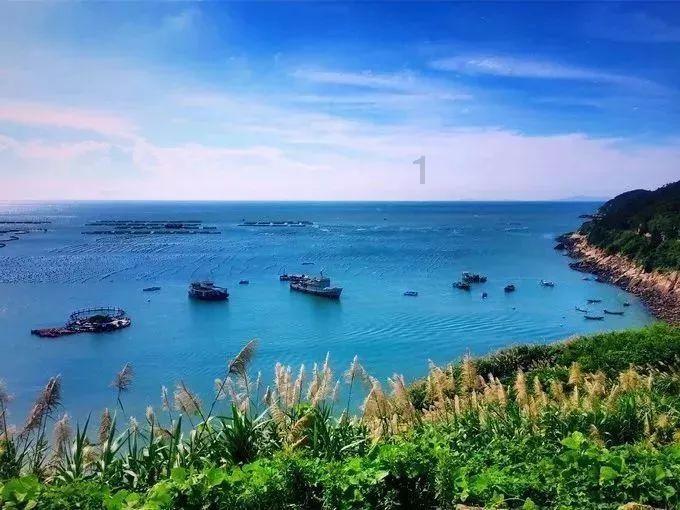上海65岁办理敬老卡要备什么材料?游戏画面