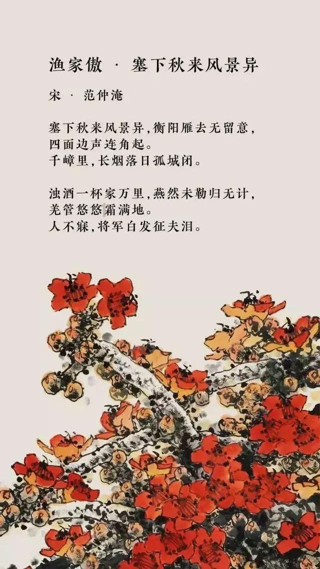 公主的阅读区