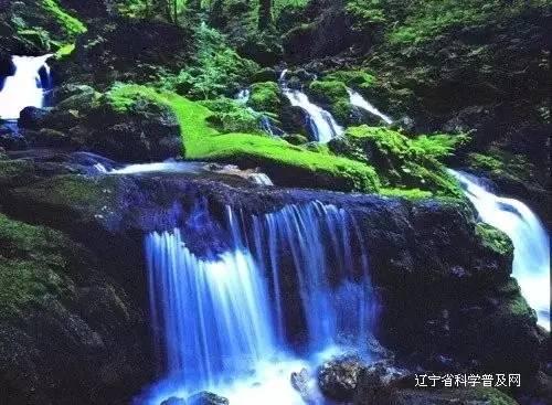 乒乓球的挑战大赛