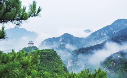 小猫钓鱼游戏龙王版有船